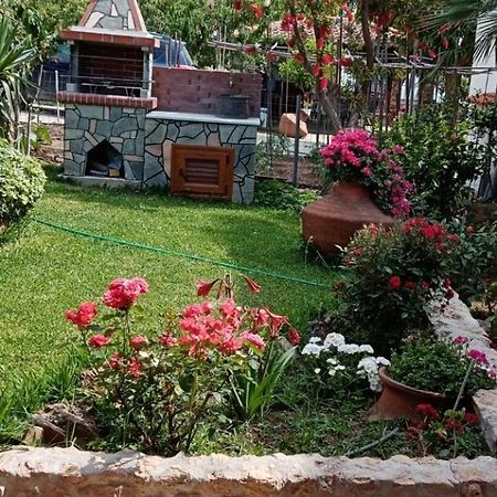 Roses Villa สกาลา กัลลีราคิส ภายนอก รูปภาพ