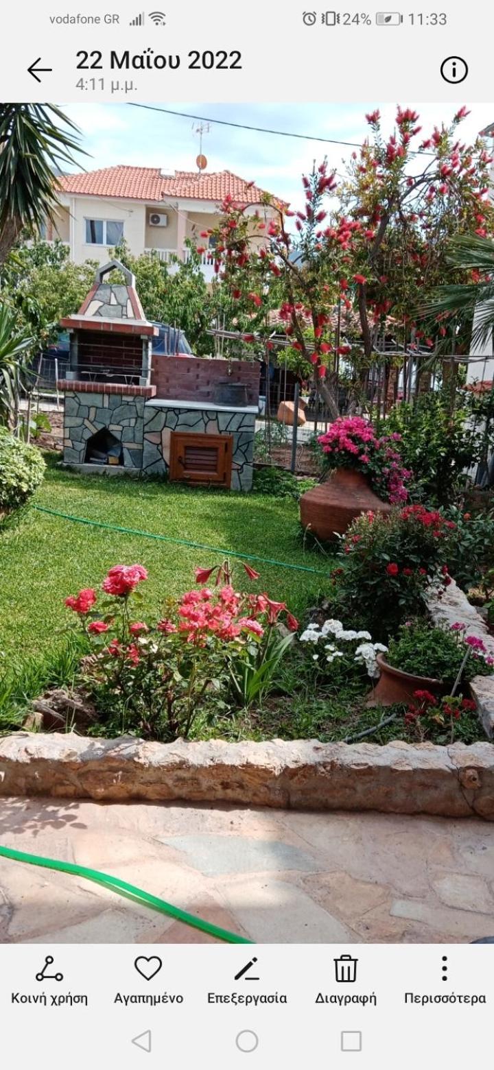 Roses Villa สกาลา กัลลีราคิส ภายนอก รูปภาพ