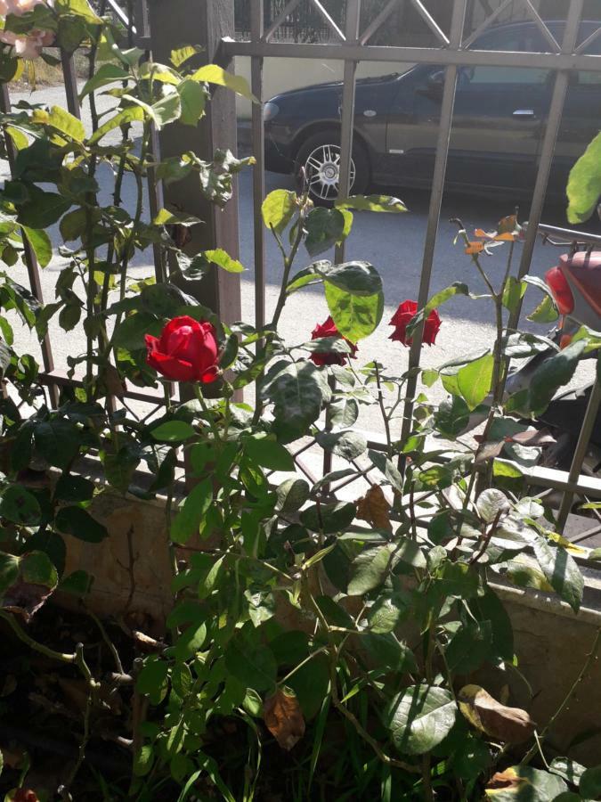 Roses Villa สกาลา กัลลีราคิส ภายนอก รูปภาพ
